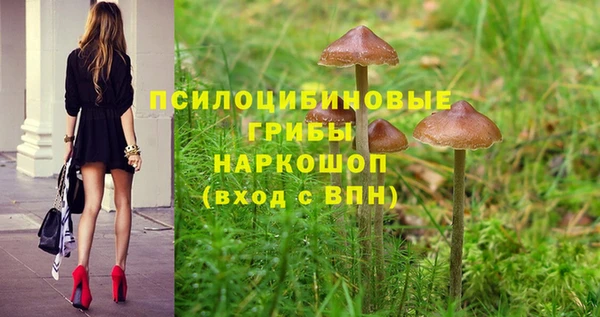 таблы Арсеньев